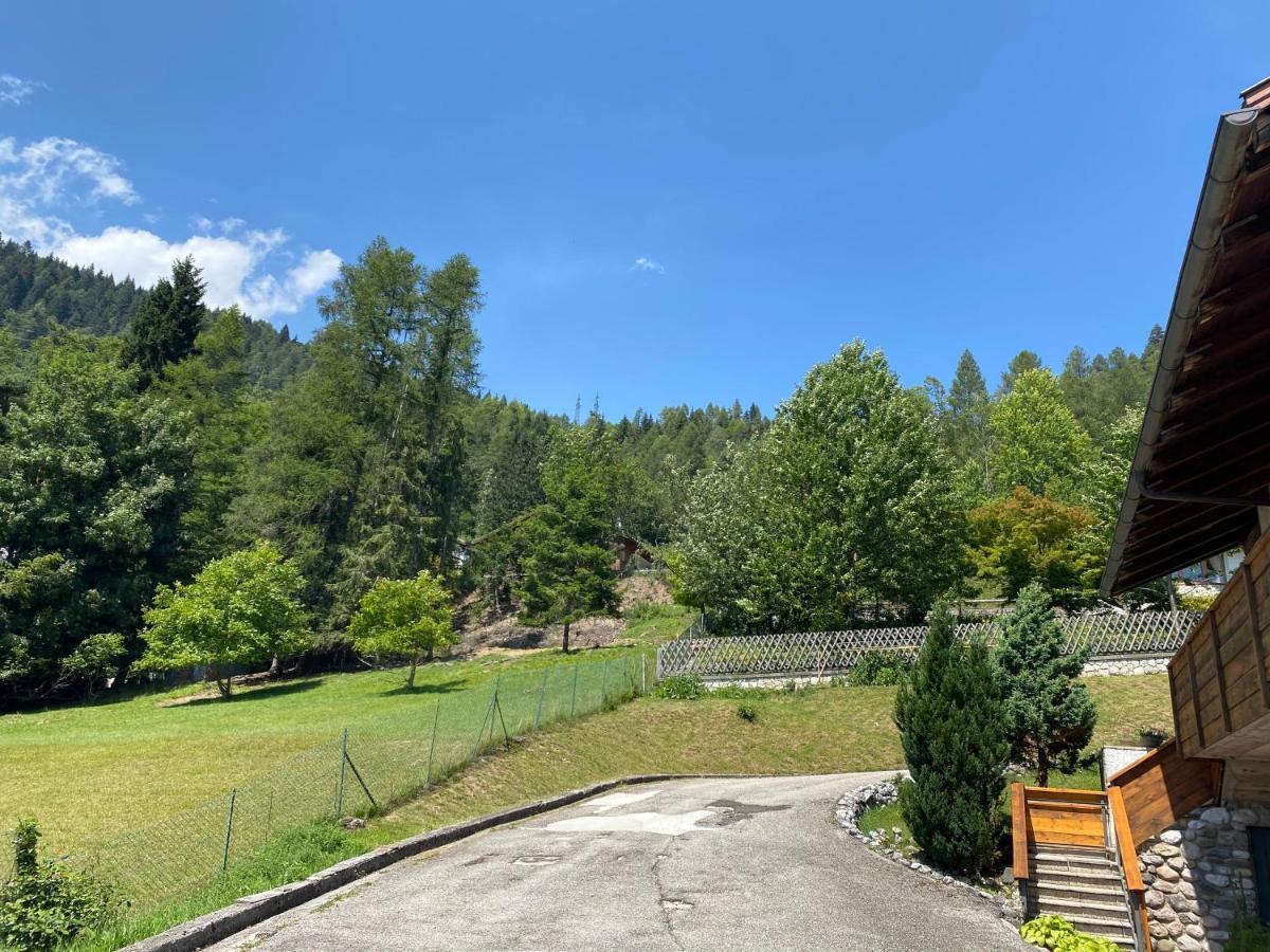 Casa Belvedere Pieve di Cadore Εξωτερικό φωτογραφία