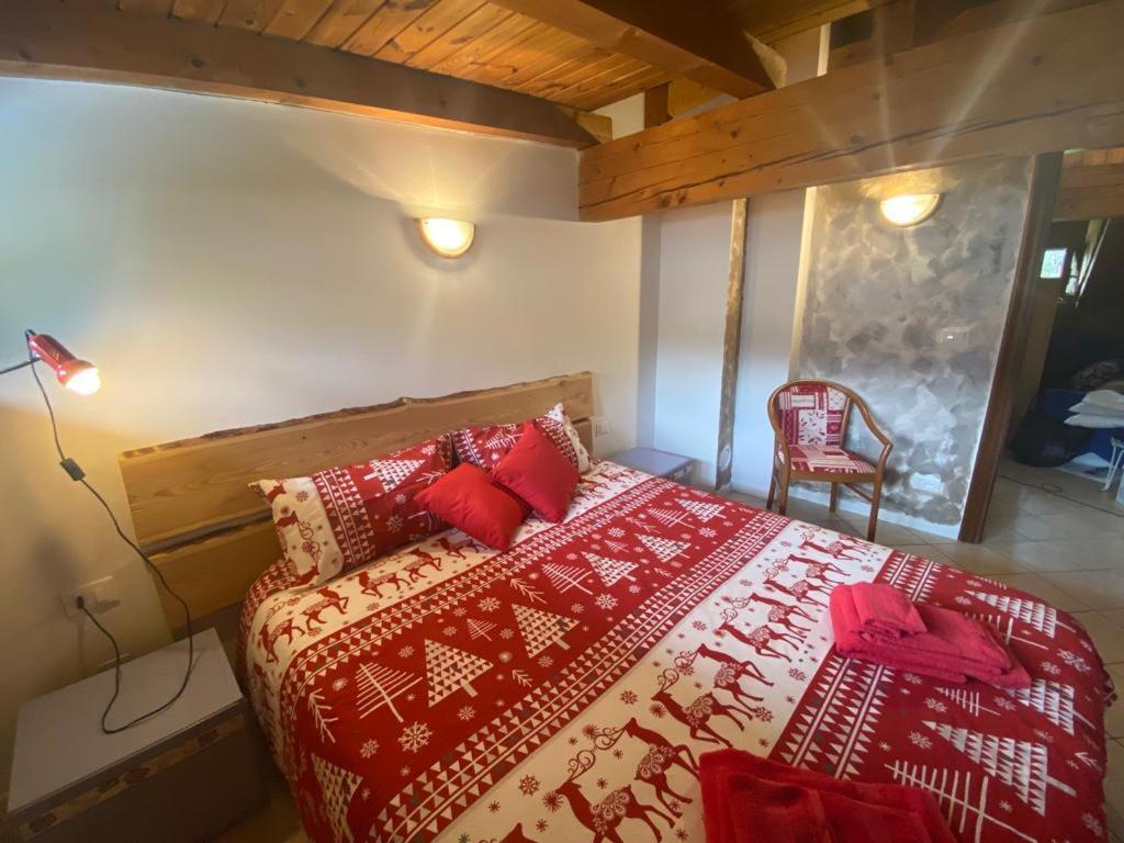 Casa Belvedere Pieve di Cadore Εξωτερικό φωτογραφία